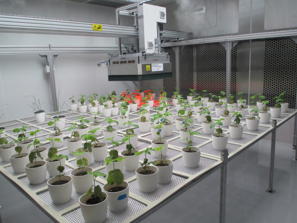PlantScreen Robotic XYZ System