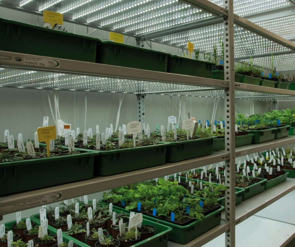 Cultivation Shelves